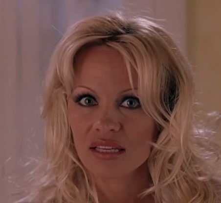 Pamela Anderson - Do You Remember?